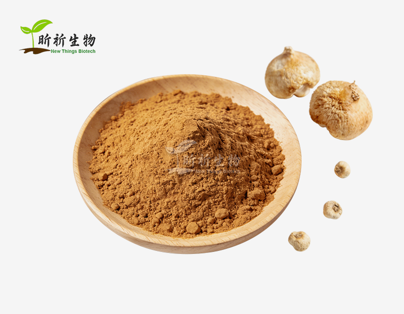 Lion's Mane Extract Bulk